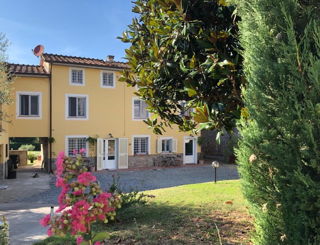 Intero Alloggio Campagna Lucca Capannori Kültér fotó