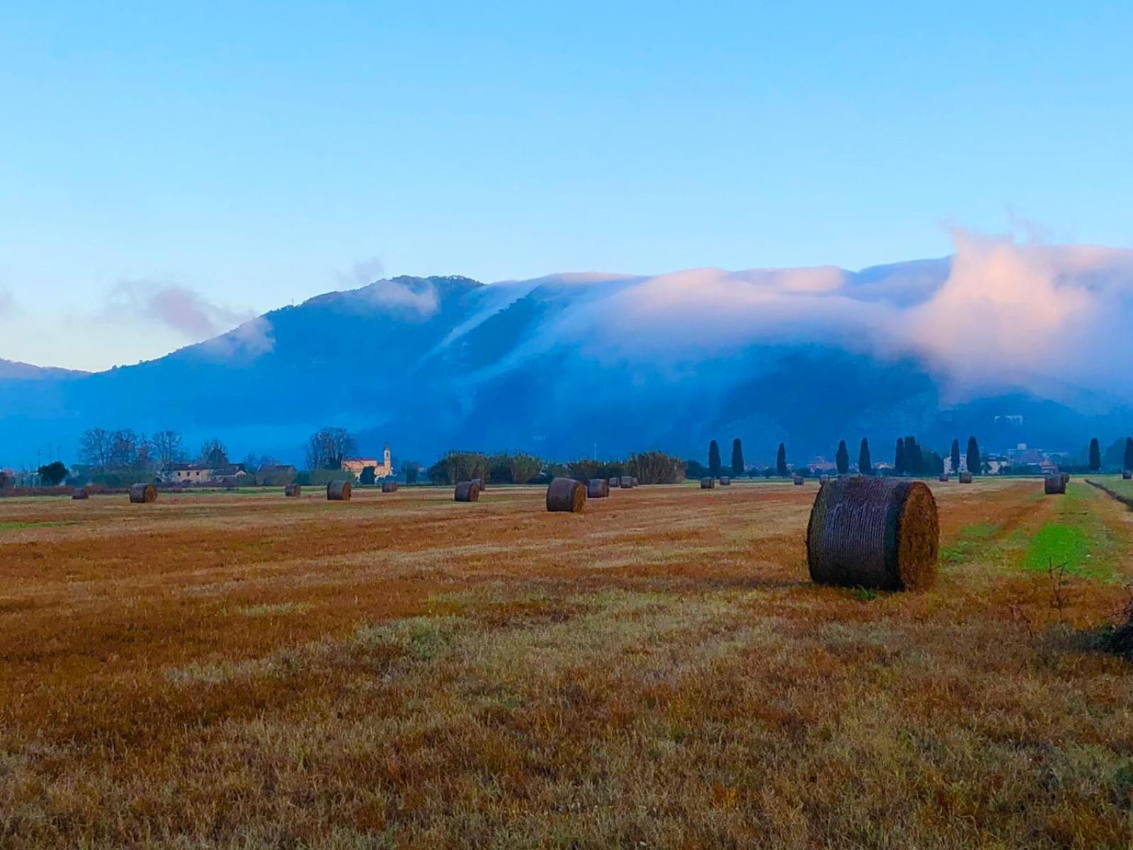 Intero Alloggio Campagna Lucca Capannori Kültér fotó
